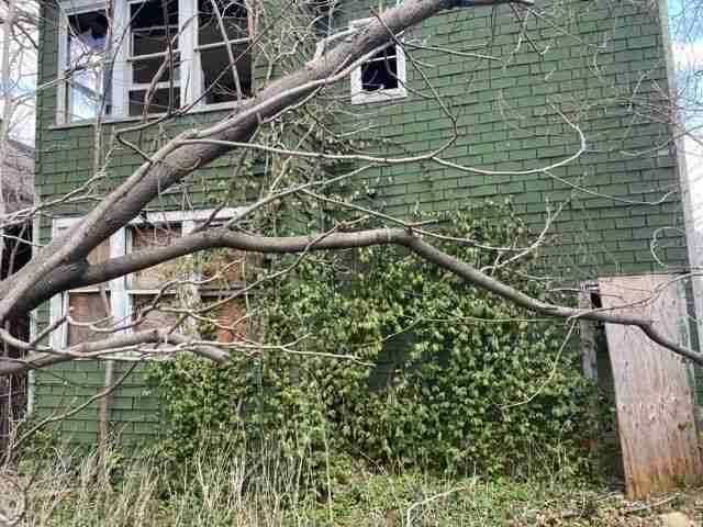 Testing again(8).jpg